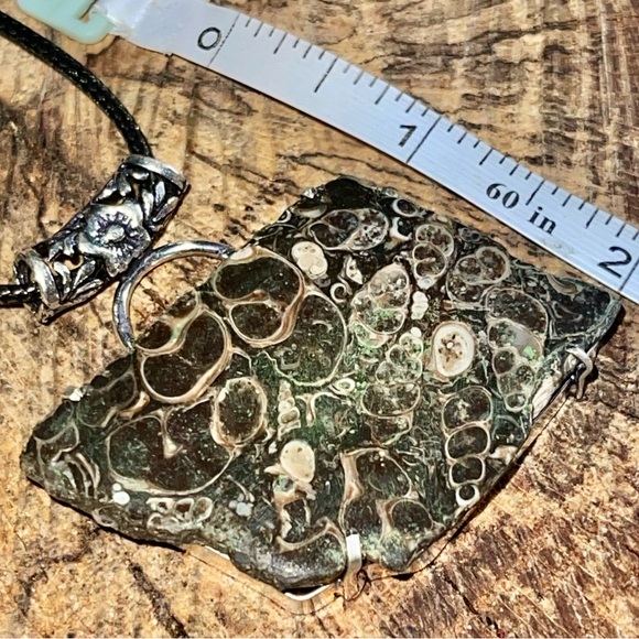Large Elemia Turritella Agate Pendant 2” - Picture 4 of 12